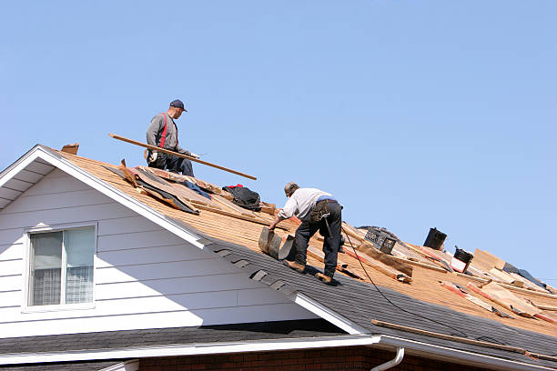 Best Roof Insulation Installation  in Canton, MO